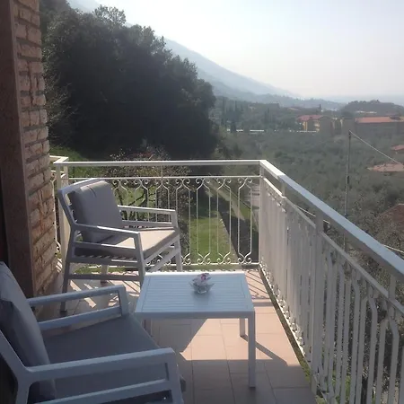 Arianna Panoramic *