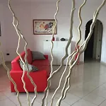 Arianna Panoramic *